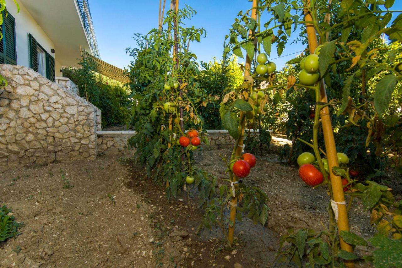 Ferienwohnung Ve&Ki Podstrana Exterior foto